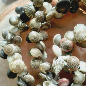 Vintage Red Black Zebra Nerite Conch Shell Necklace Layered Hawaiian Shell Lei